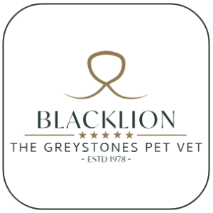 Blacklion Vets